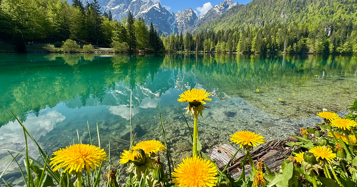 Laghi di Fusine – Meta escursionistica nei pressi del lago di Ossiach