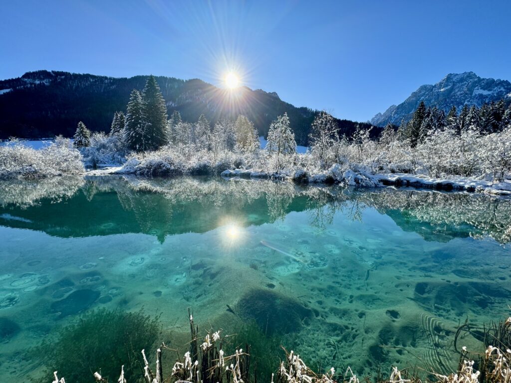 Zelenci Naturschutzgebiet Ausflug