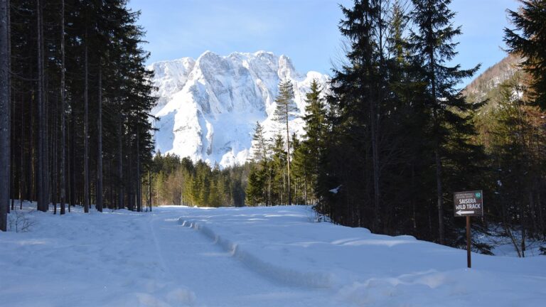 Saisera Wild Track, Italia